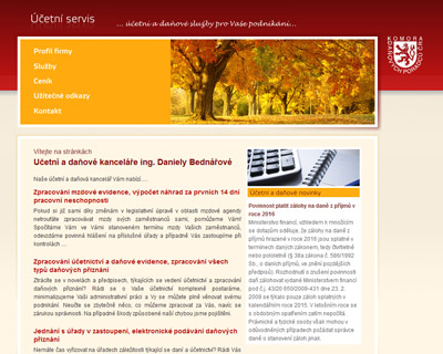 Účetní servis - účetnictví a daňové poradenství Brno